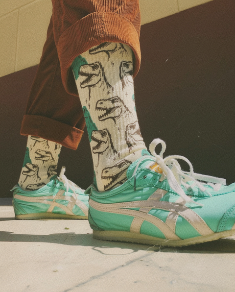 Calcetines de dinos — Dinotón